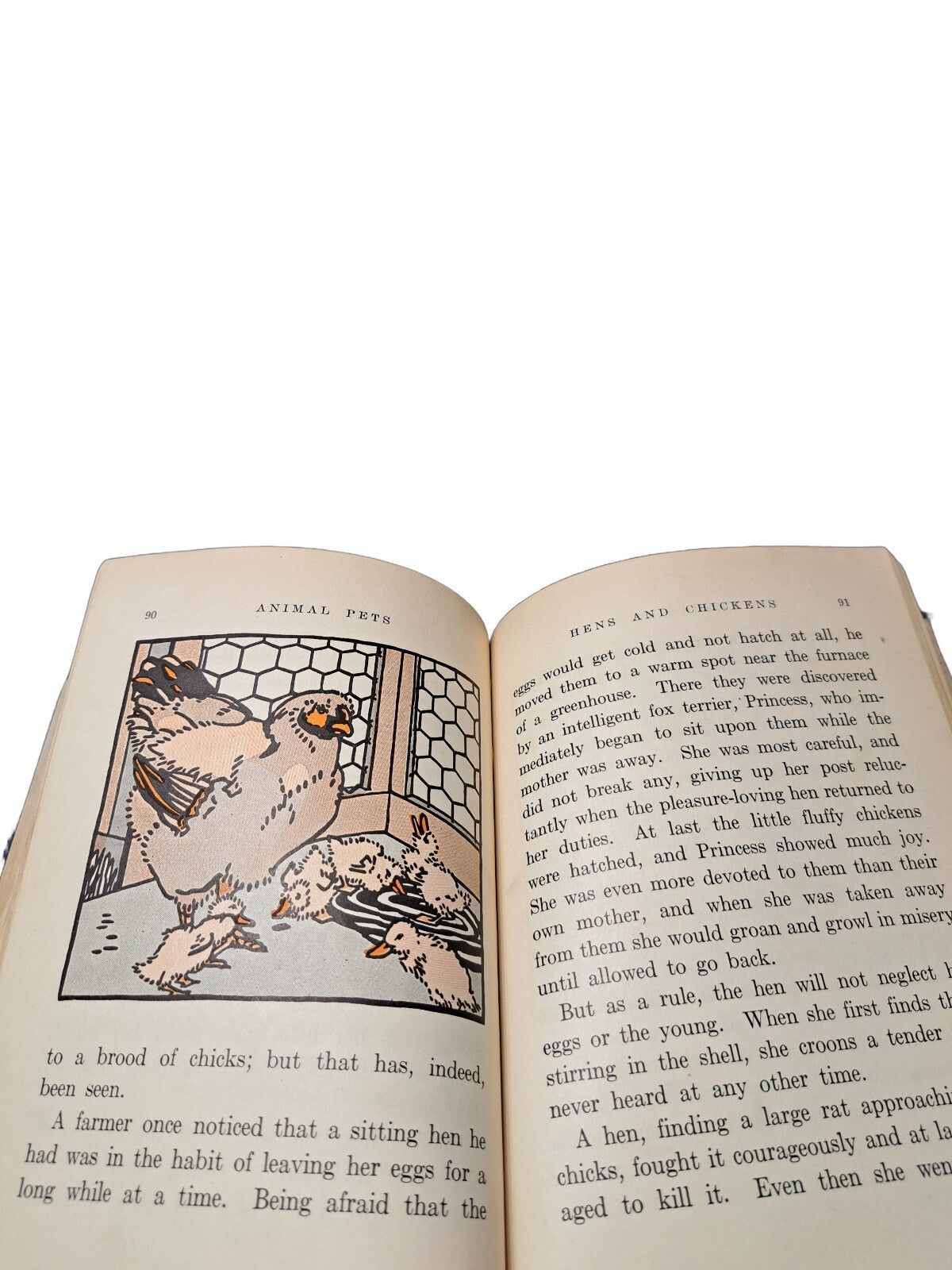 Vintage 1927 Animal Pets From Near and Far book by Anna Bogenholm Sloane
