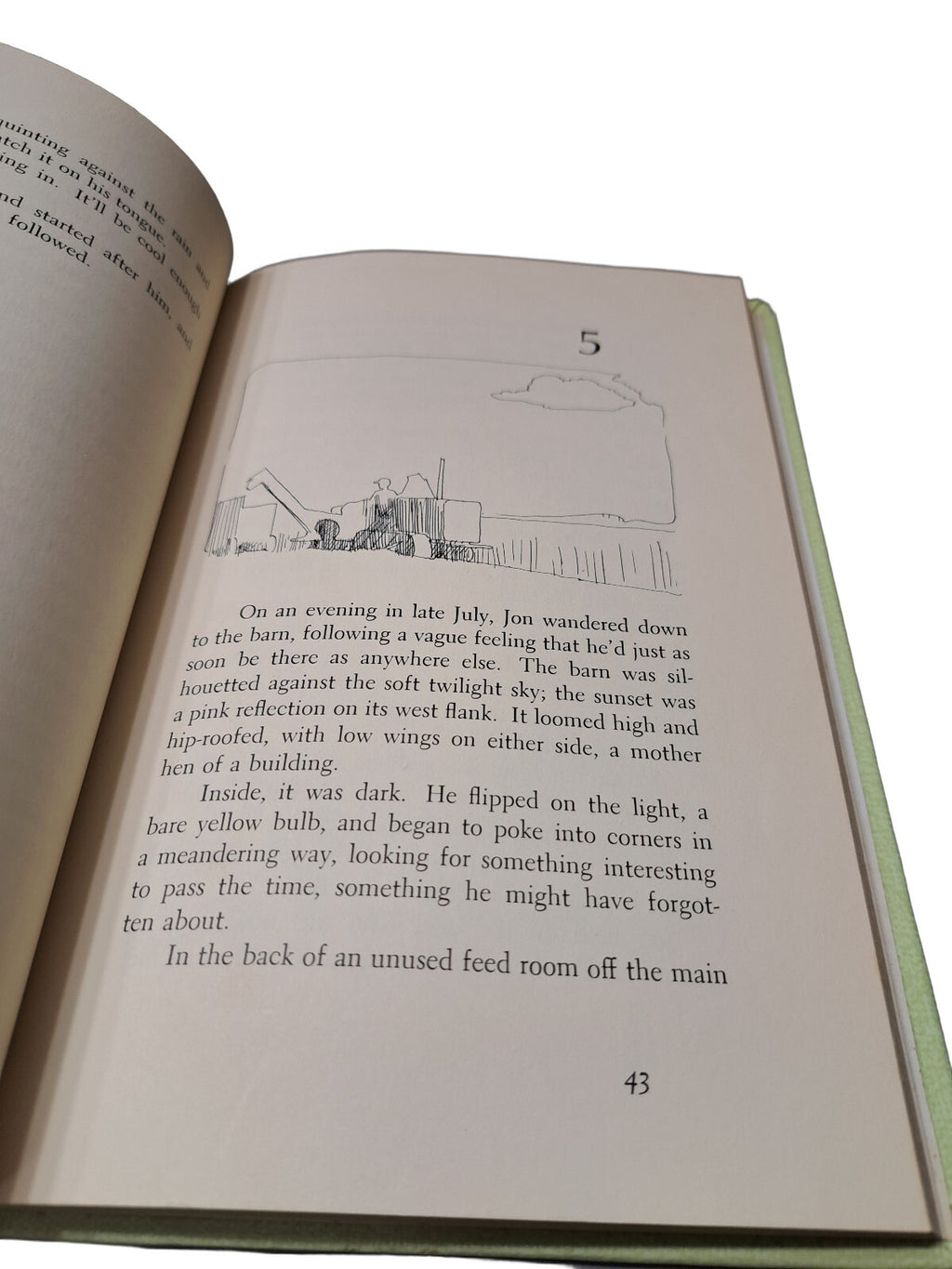 Vintage 1969 Ride a Wild Dream by Lynn Hall, illustrated by George Roth