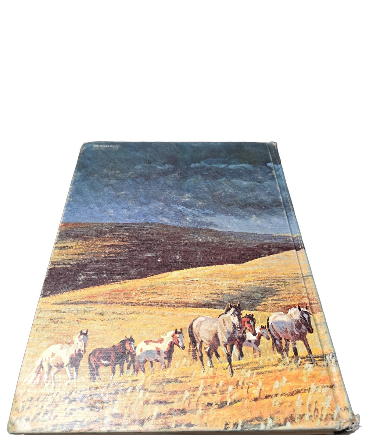 Vintage 1972 first printing of San Domingo: The Medicine Hat Stallion book