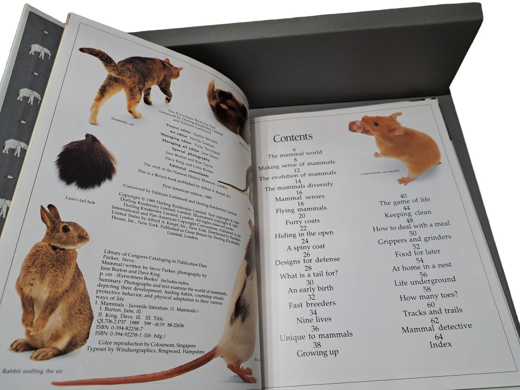 Vintage 1989 first edition of Mammal by Eyewitness Books