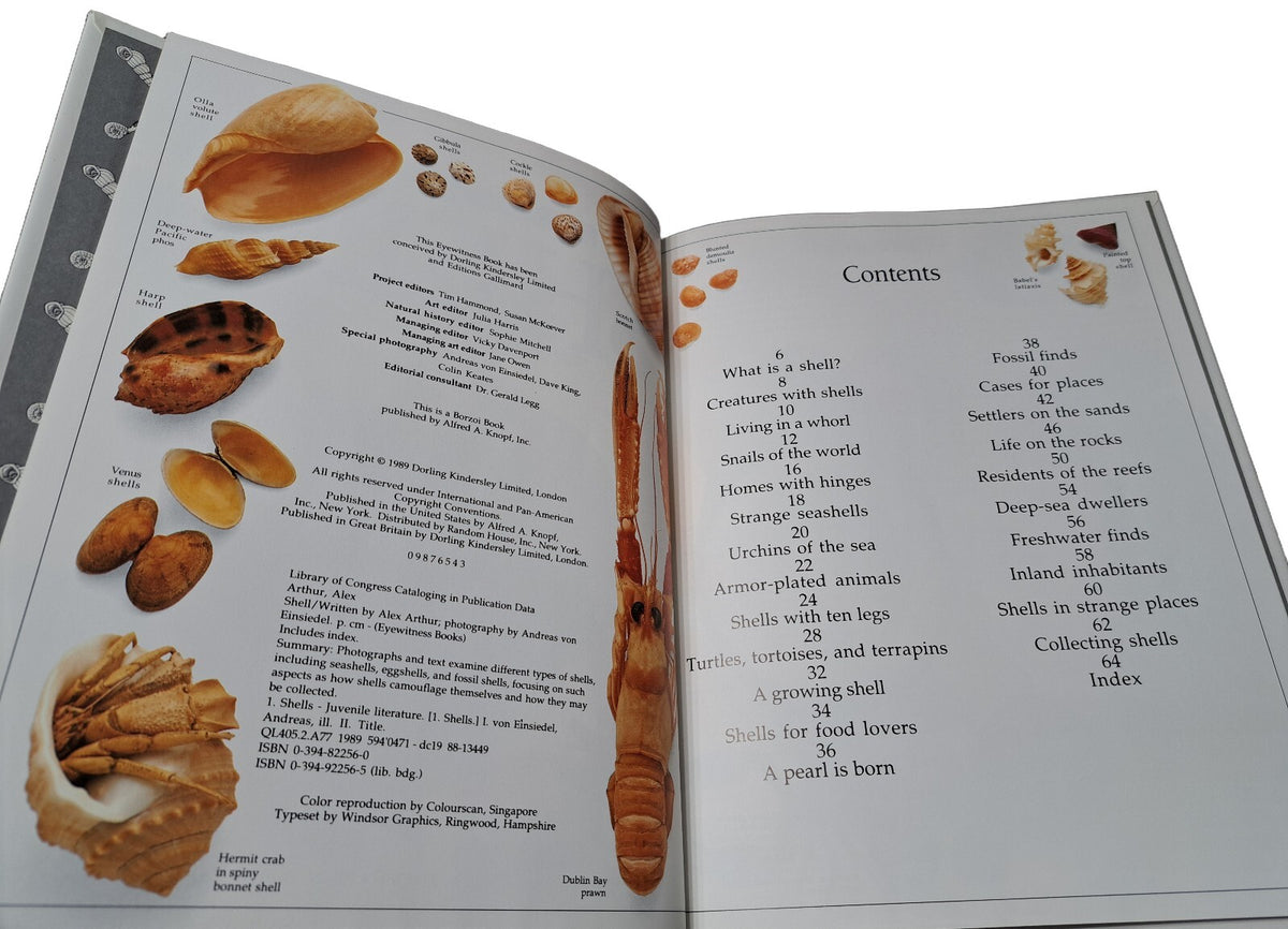 Vintage 1989 first edition of Shell by Eyewitness Books