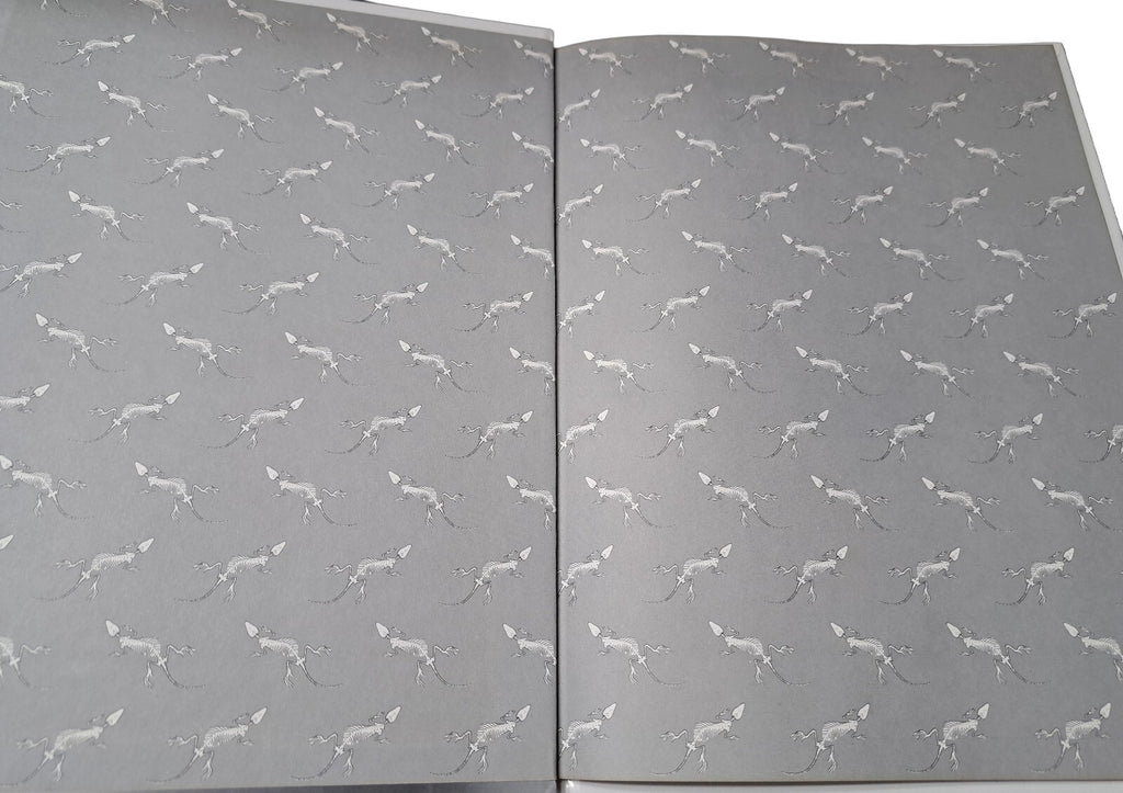 Vintage 1988 first edition of Skeleton by Eyewitness Books