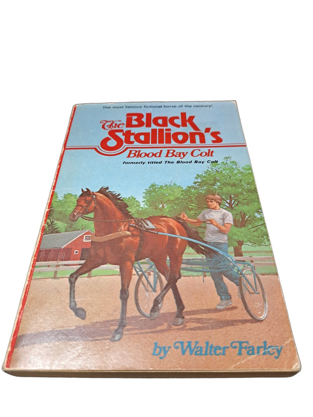 Vintage 1950 The Black Stallion's Blood Bay Colt book by Walter Farley