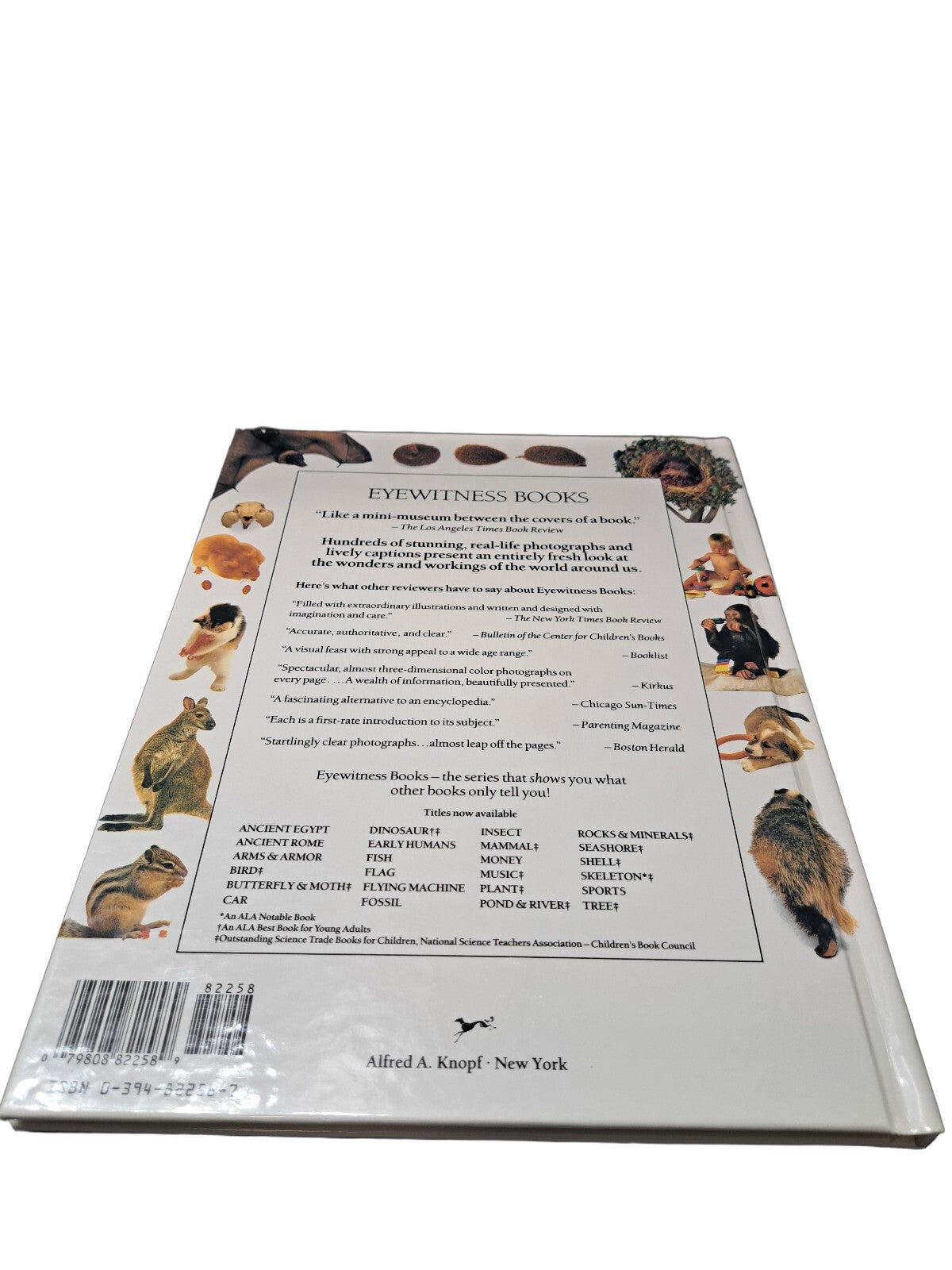 Vintage 1989 first edition of Mammal by Eyewitness Books