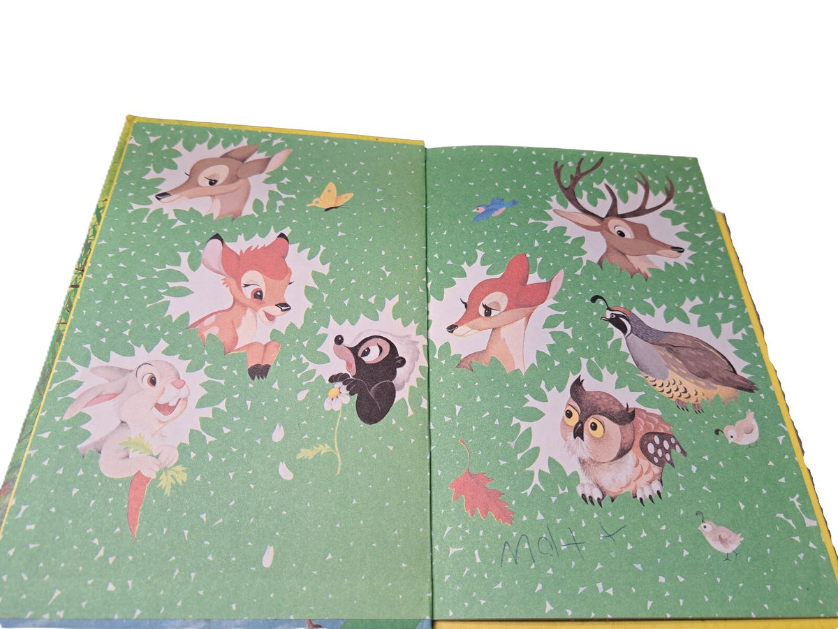 Vintage 1979 Walt Disney's Bambi Grows Up book