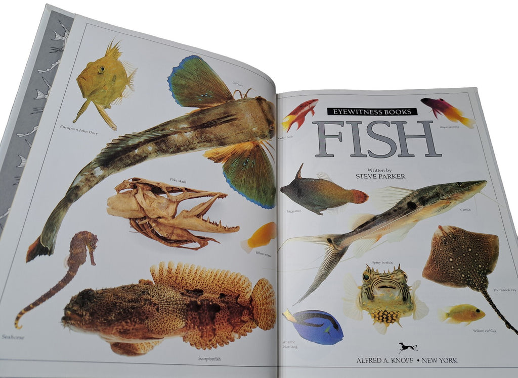 Vintage 1990 first edition of Fish by Eyewitness Books