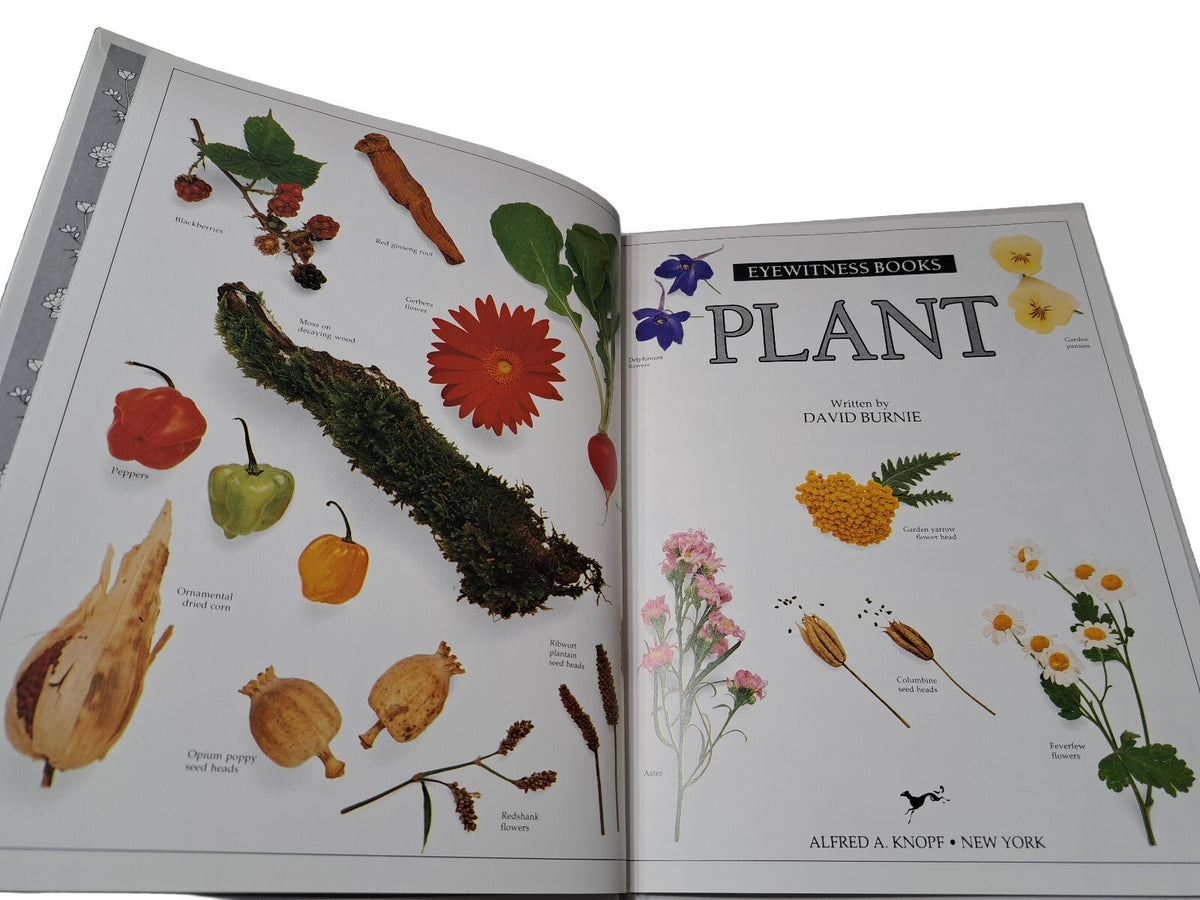 Vintage 1989 first edition of Plant by Eyewitness Books