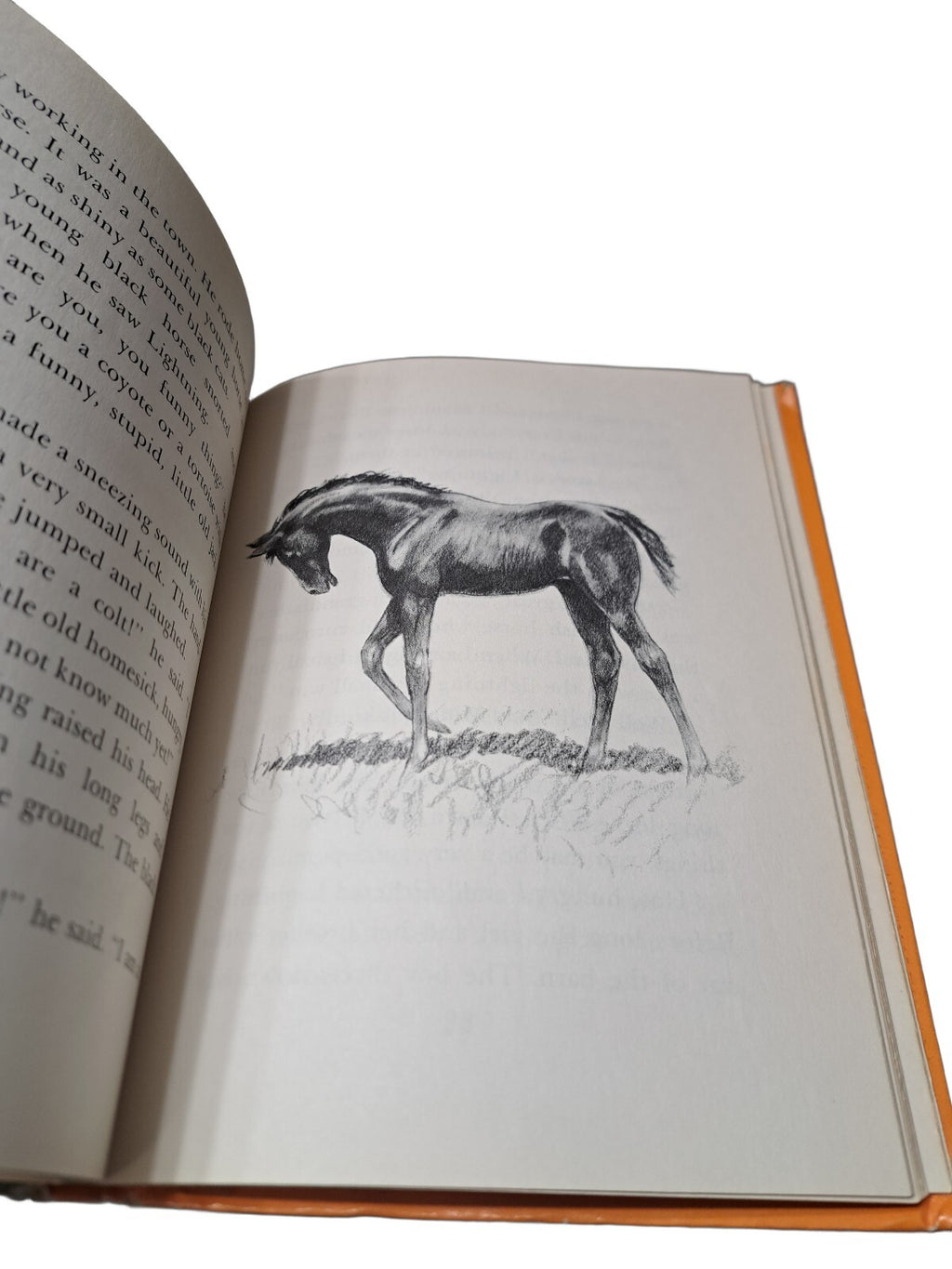 Vintage 1969 A Pony Called Lightning by Miriam E Mason