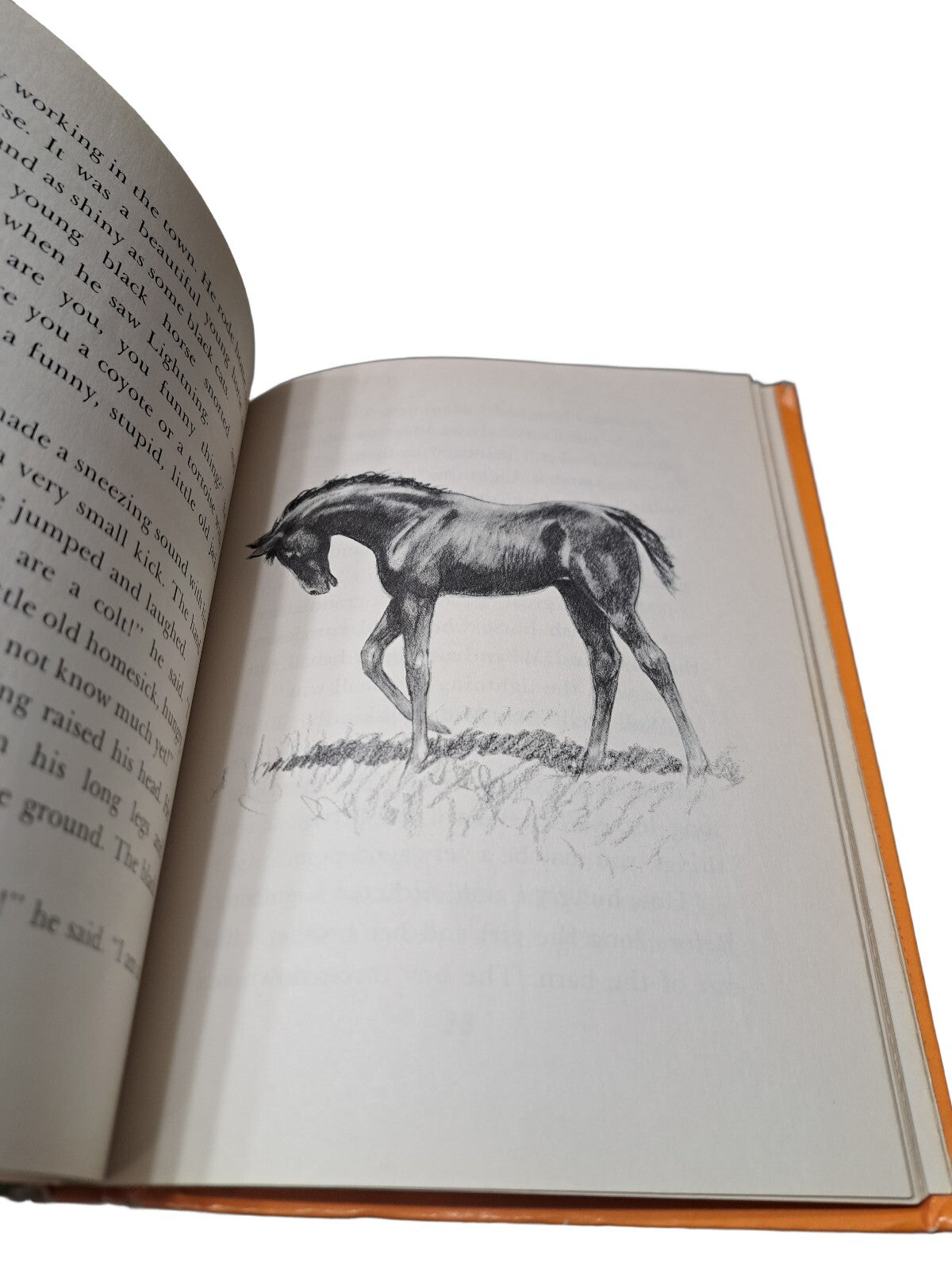 Vintage 1969 A Pony Called Lightning by Miriam E Mason