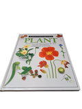 Vintage 1989 first edition of Plant by Eyewitness Books