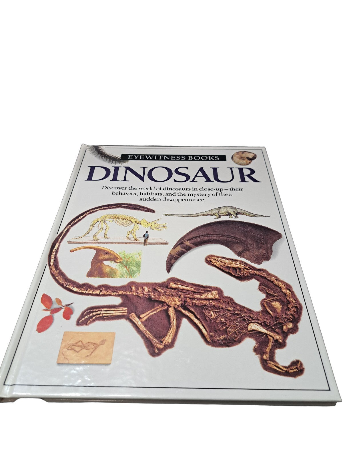 Vintage 1989 first edition of Dinosaur by Eyewitness Books
