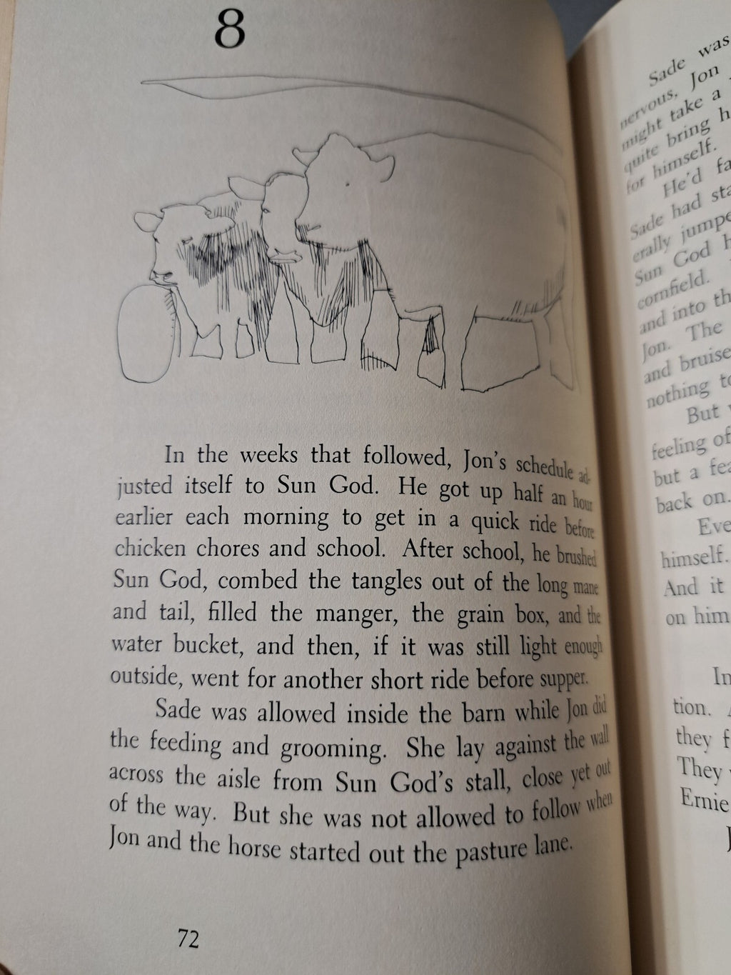 Vintage 1969 Ride a Wild Dream by Lynn Hall, illustrated by George Roth