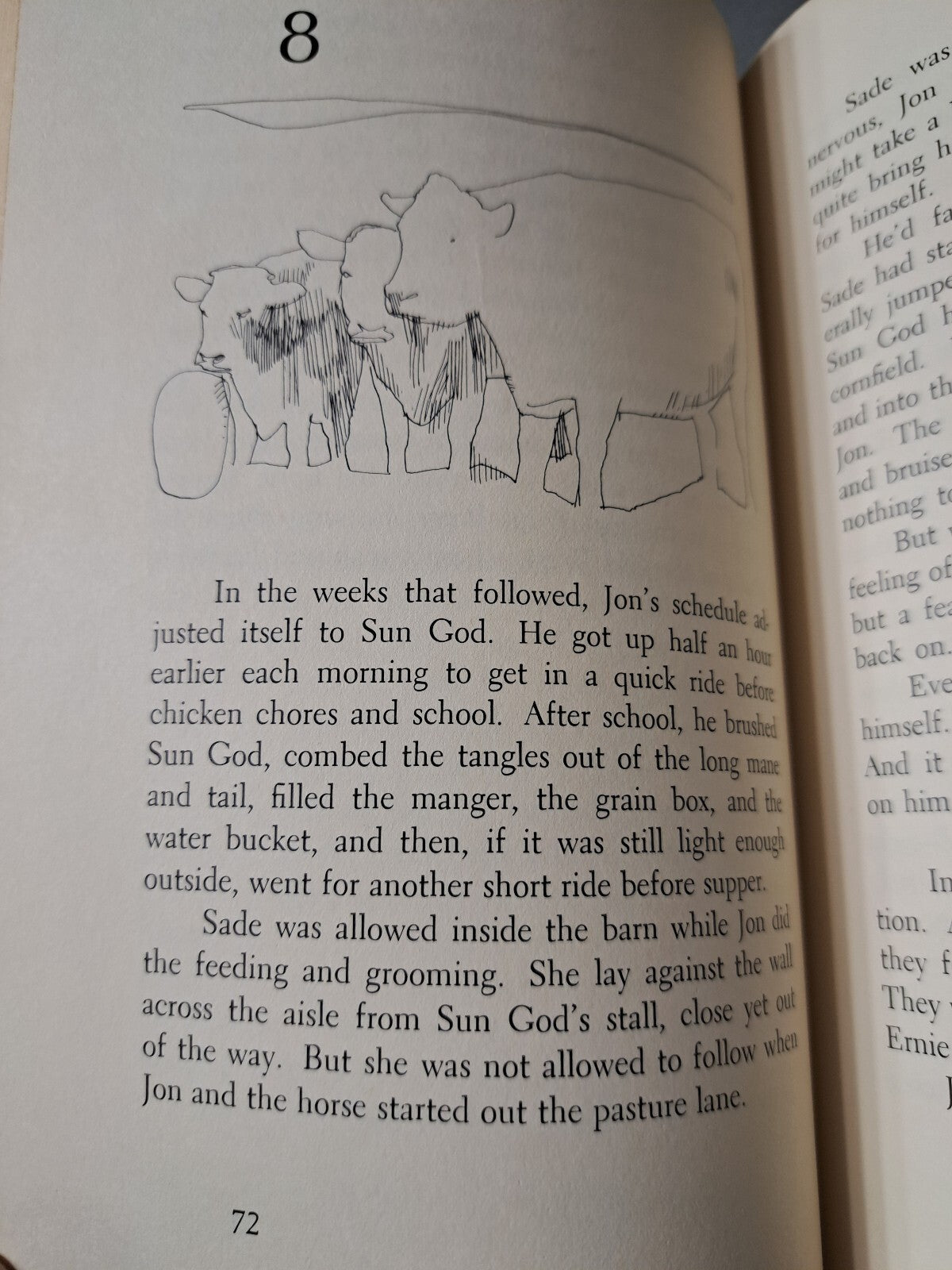 Vintage 1969 Ride a Wild Dream by Lynn Hall, illustrated by George Roth