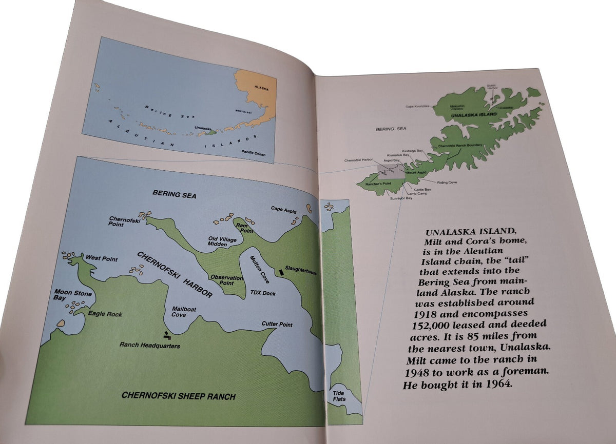 1994 Good-Bye, Boise... Hello, Alaska book by Cora Holmes