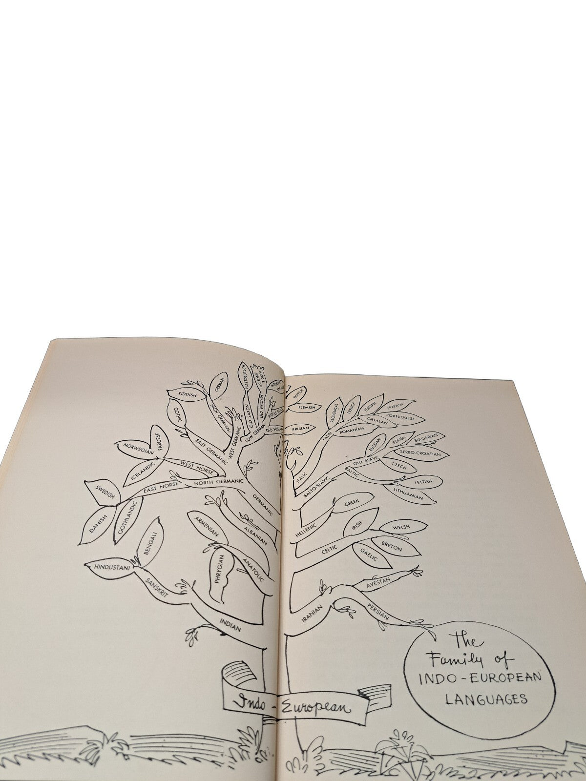 Vintage 1957 The Tree of Language book by Helene and Charlton Laird