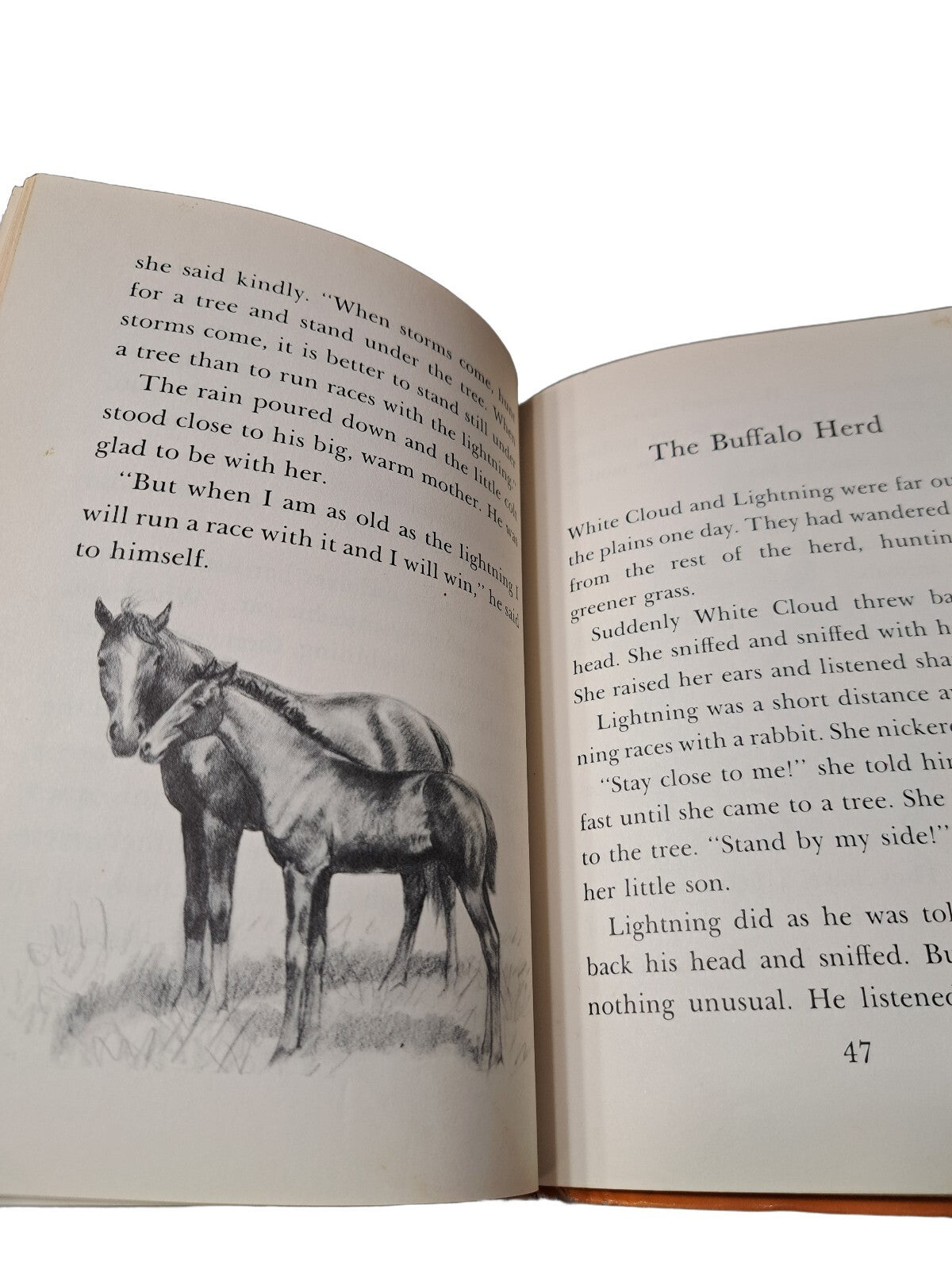 Vintage 1969 A Pony Called Lightning by Miriam E Mason