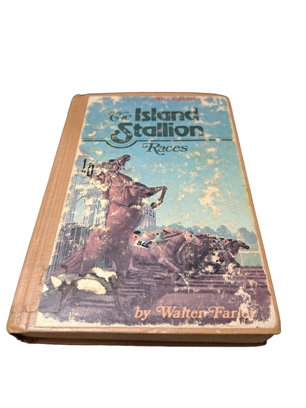 Vintage 1955 The Island Stallion Races book by Walter Farley