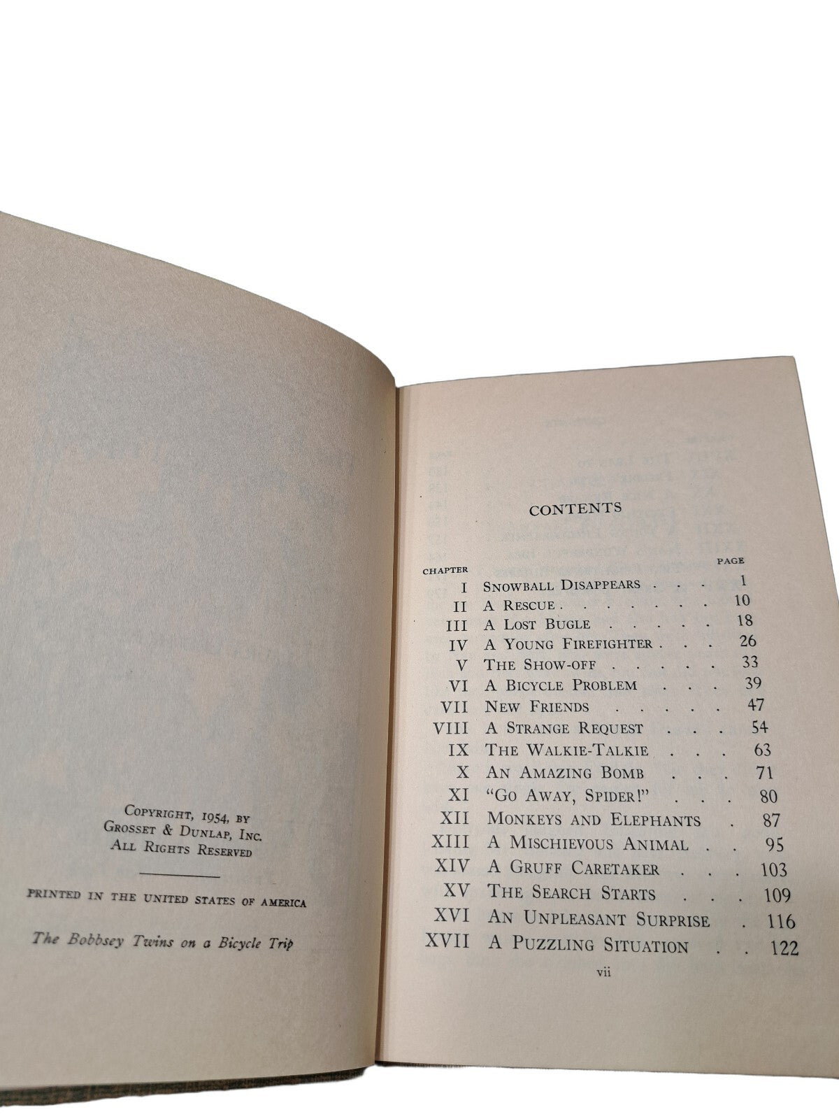 Vintage 1954 The Bobbsey Twins on a Bicycle Trip book by Laura Lee Hope