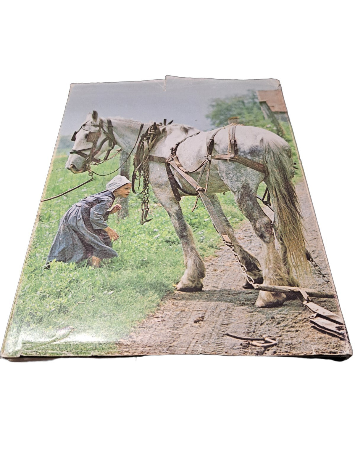 Vintage 1975 The Amish: A Pioneer Heritage