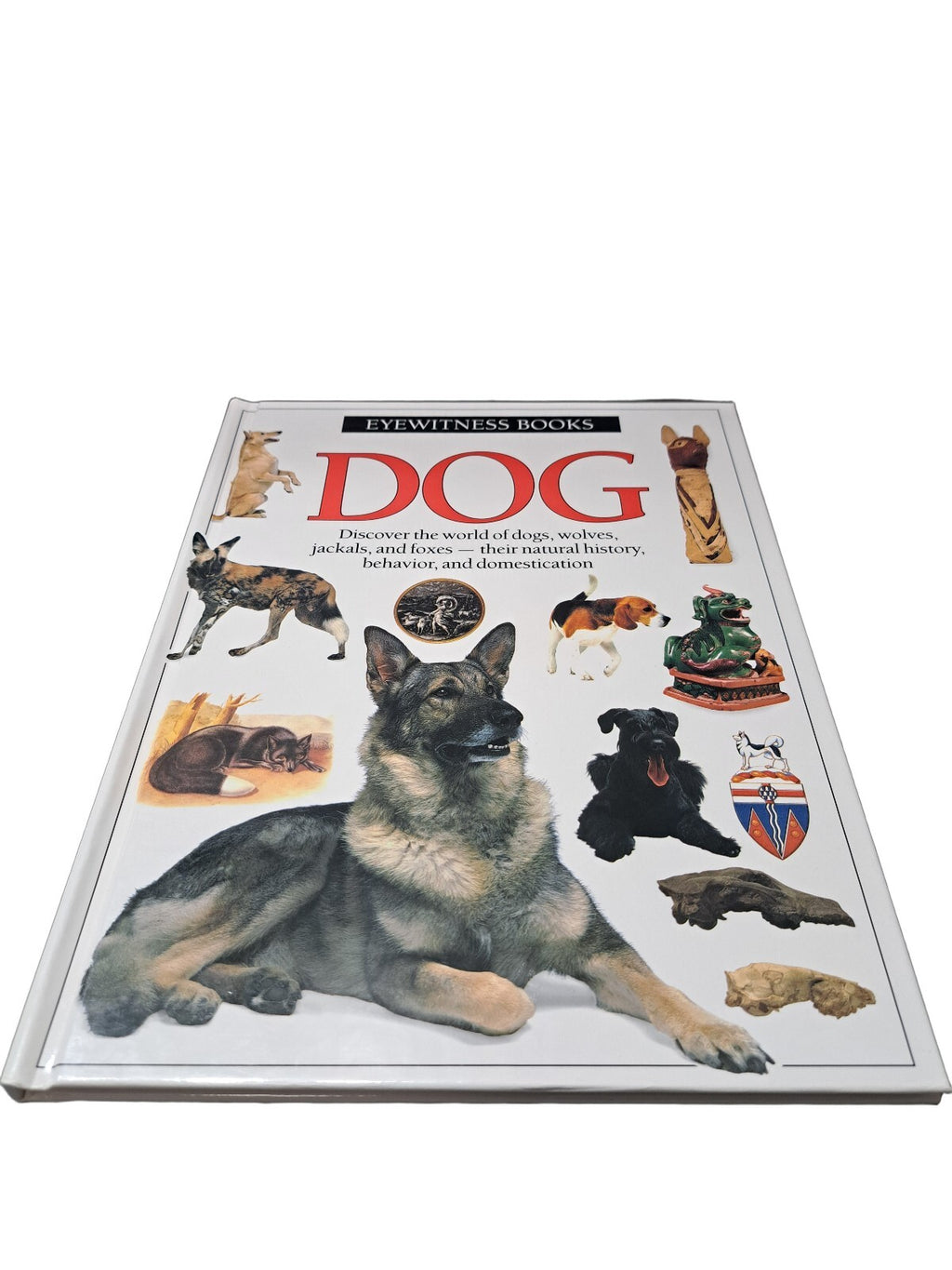 Vintage 1991 first edition of Dog by Eyewitness Books