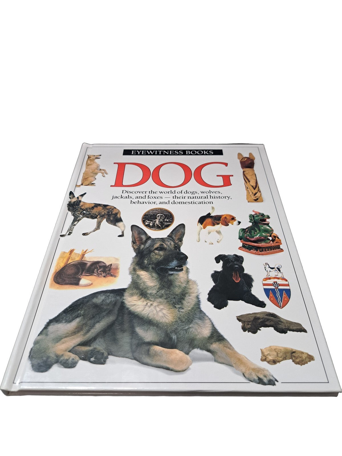 Vintage 1991 first edition of Dog by Eyewitness Books