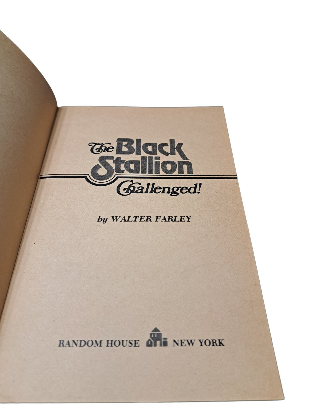 Vintage 1964 The Black Stallion Challenged! book by Walter Farley