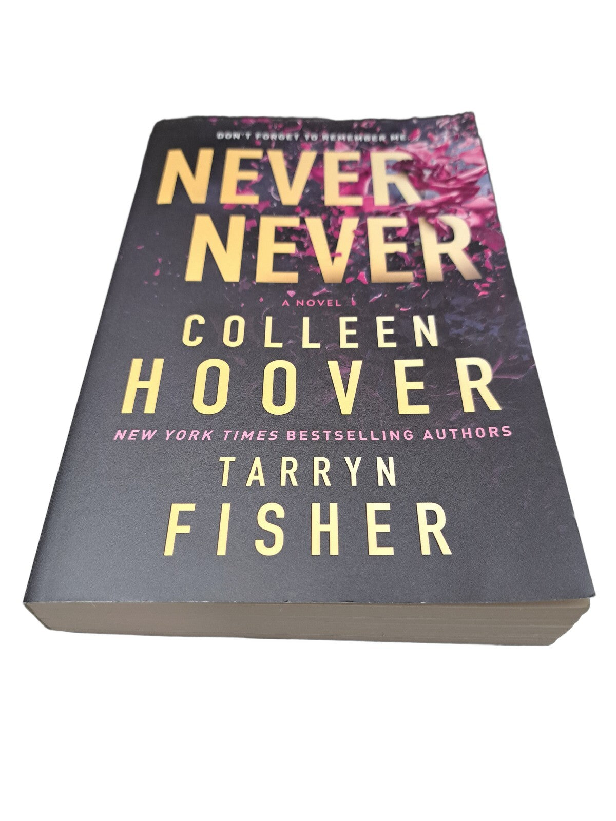 2023 Never Never by Colleen Hoover and Tarryn Fisher