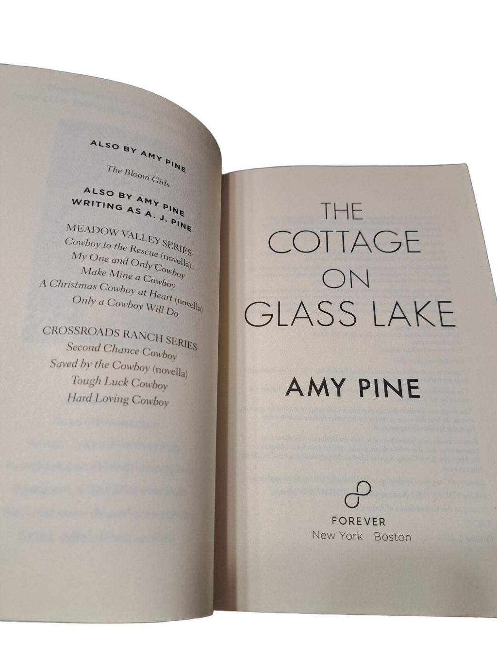 2023 The Cottage on Glass Lake by Amy Pine