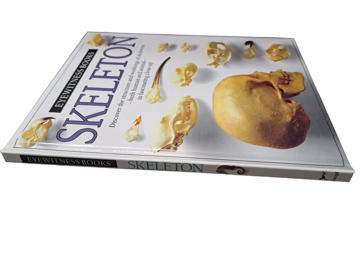 Vintage 1988 first edition of Skeleton by Eyewitness Books