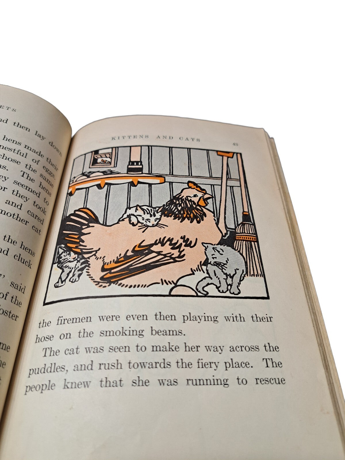 Vintage 1927 Animal Pets From Near and Far book by Anna Bogenholm Sloane