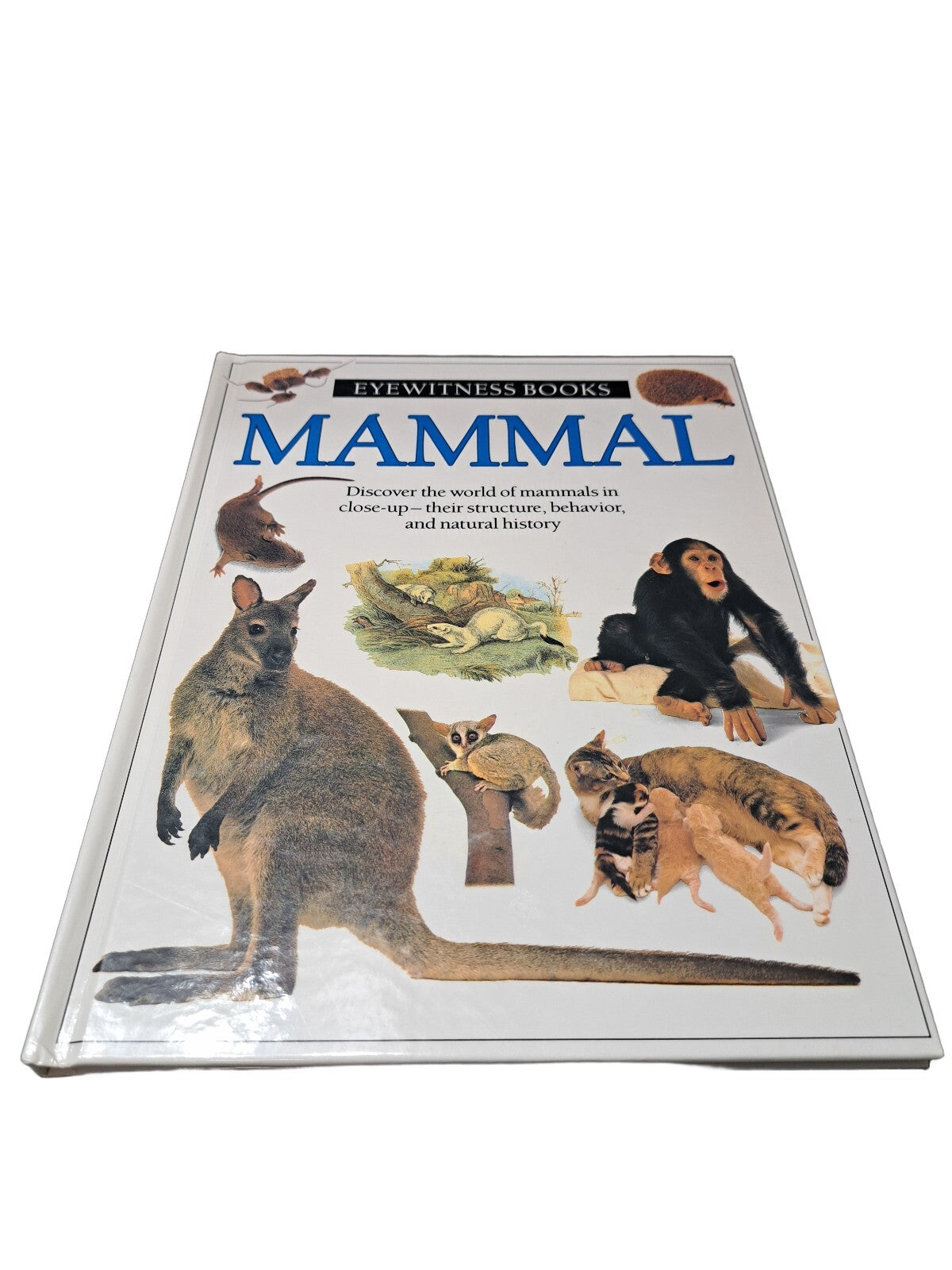 Vintage 1989 first edition of Mammal by Eyewitness Books
