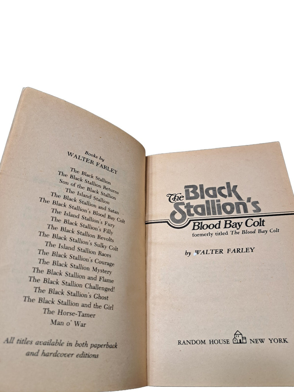 Vintage 1950 The Black Stallion's Blood Bay Colt book by Walter Farley
