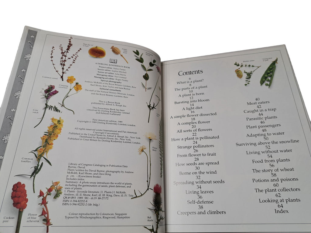 Vintage 1989 first edition of Plant by Eyewitness Books