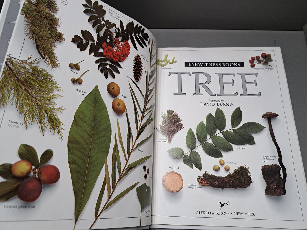 Vintage 1988 first edition of Tree by Eyewitness Books