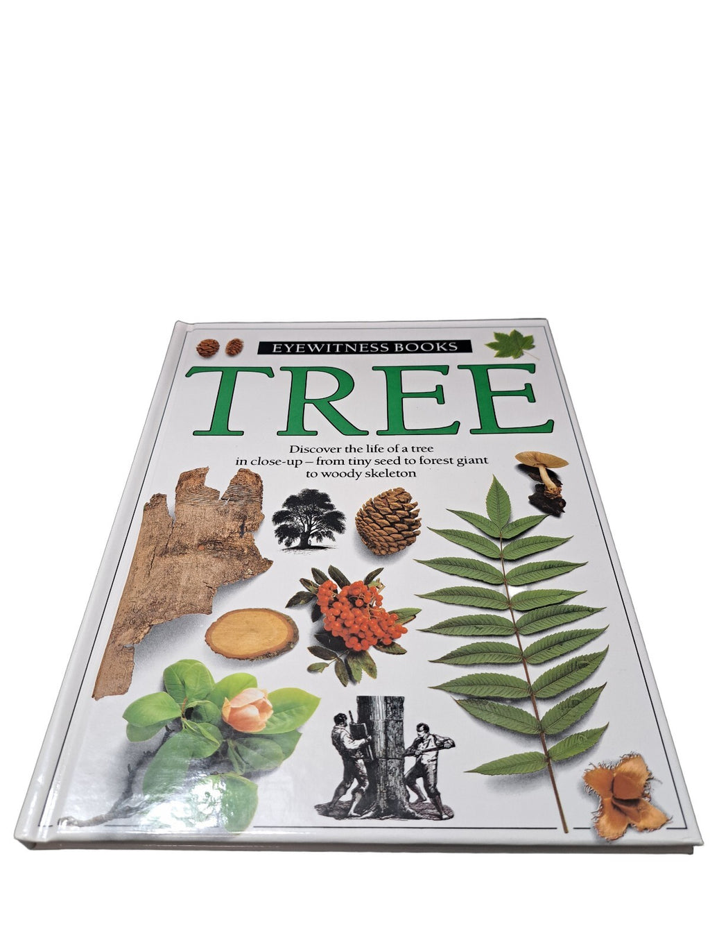 Vintage 1988 first edition of Tree by Eyewitness Books