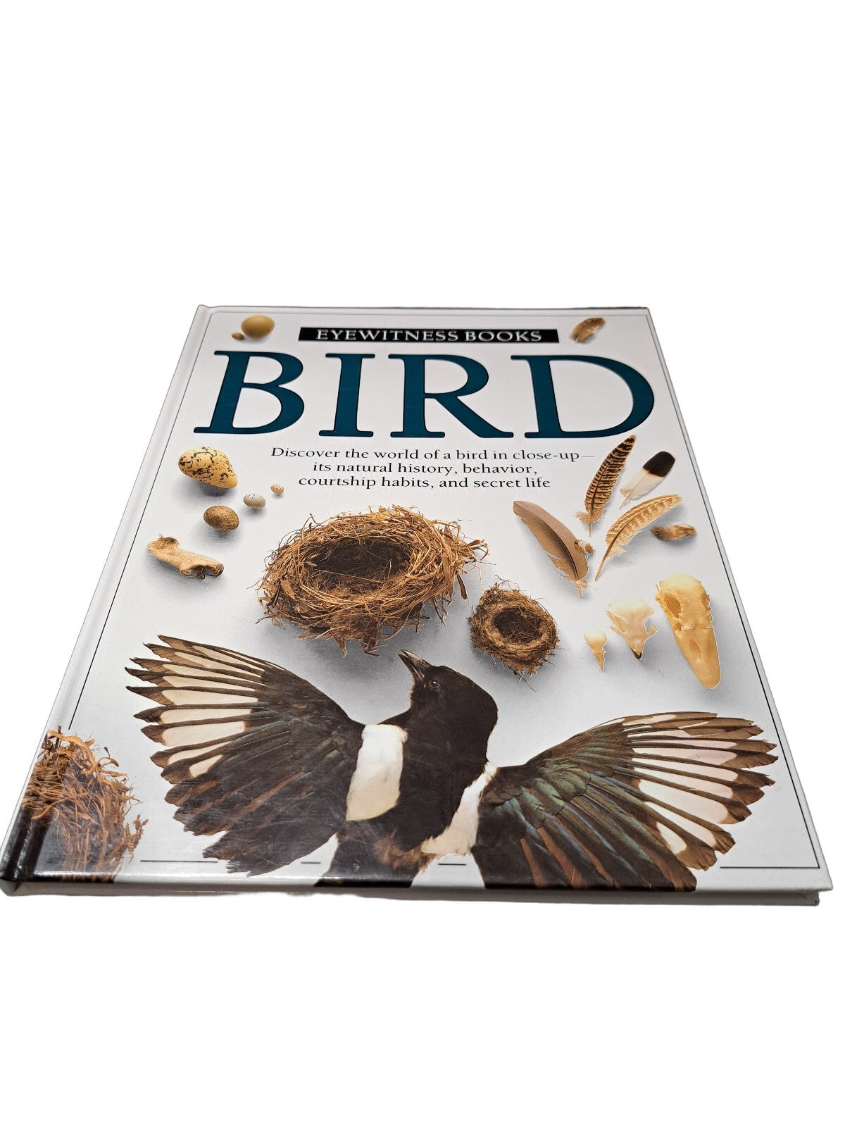 Vintage 1988 first edition of Bird by Eyewitness Books
