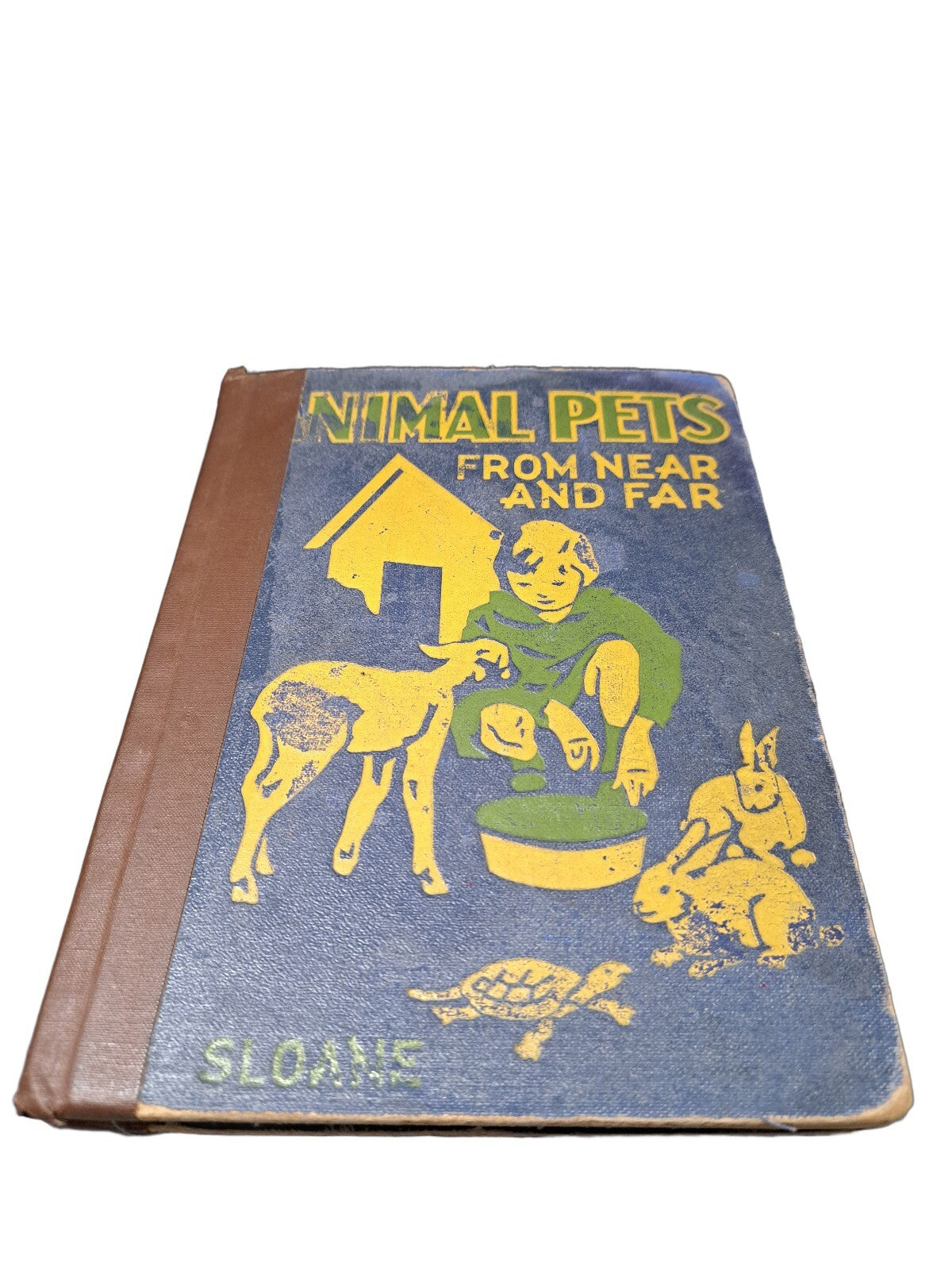 Vintage 1927 Animal Pets From Near and Far book by Anna Bogenholm Sloane