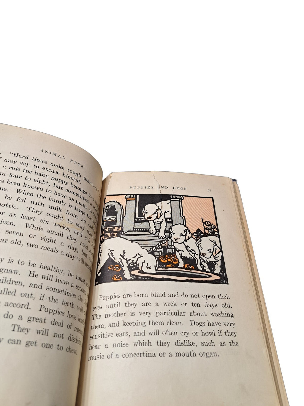 Vintage 1927 Animal Pets From Near and Far book by Anna Bogenholm Sloane
