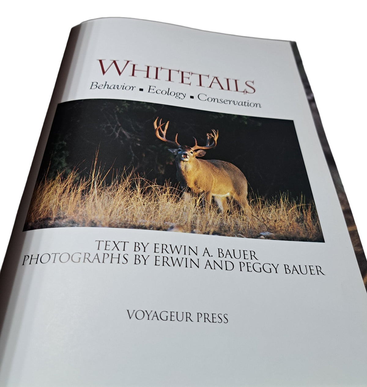 Vintage 1993 Whitetails: Behavior, Ecology, Conservation