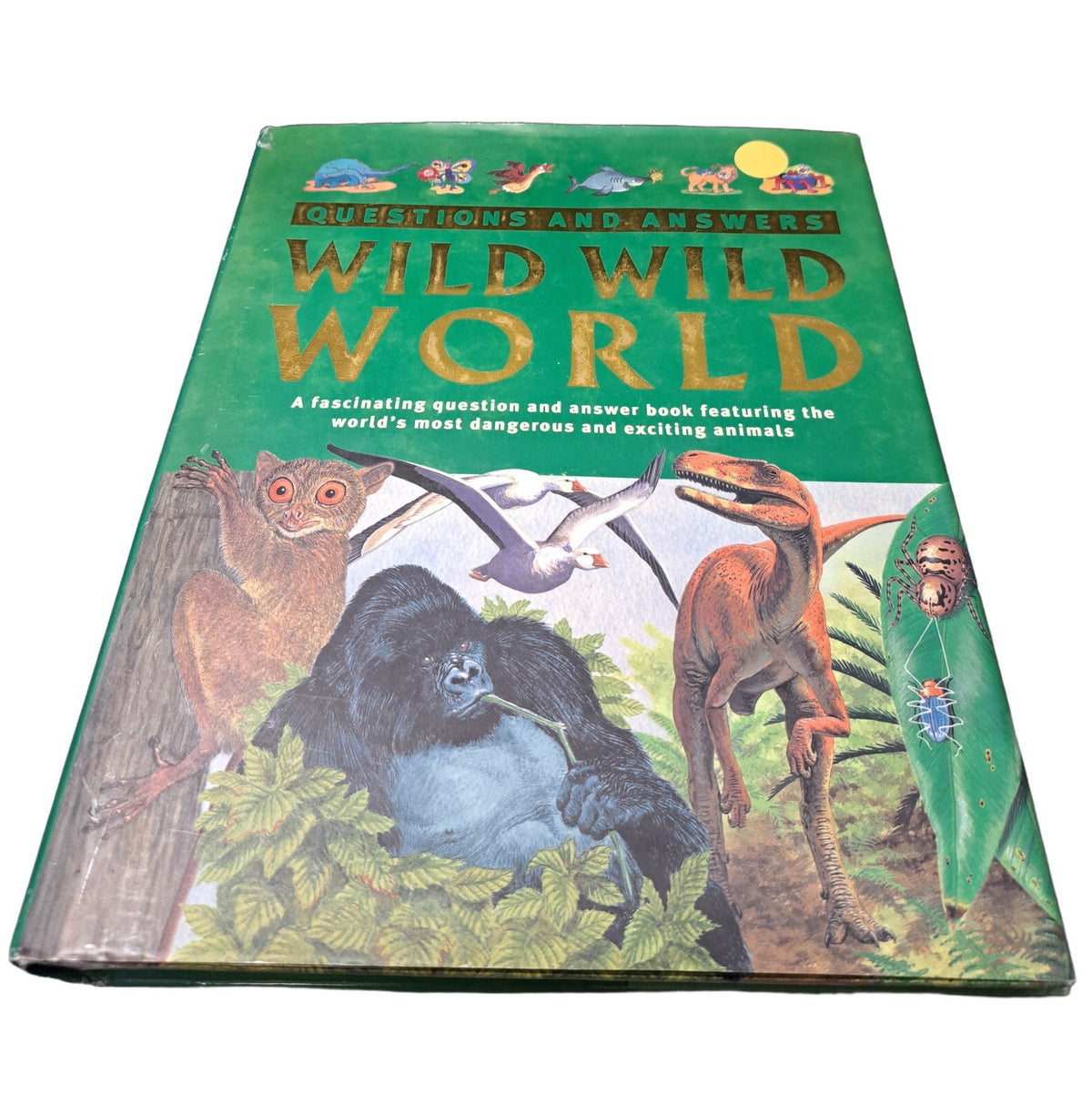 Questions and Answers: Wild Wild World
