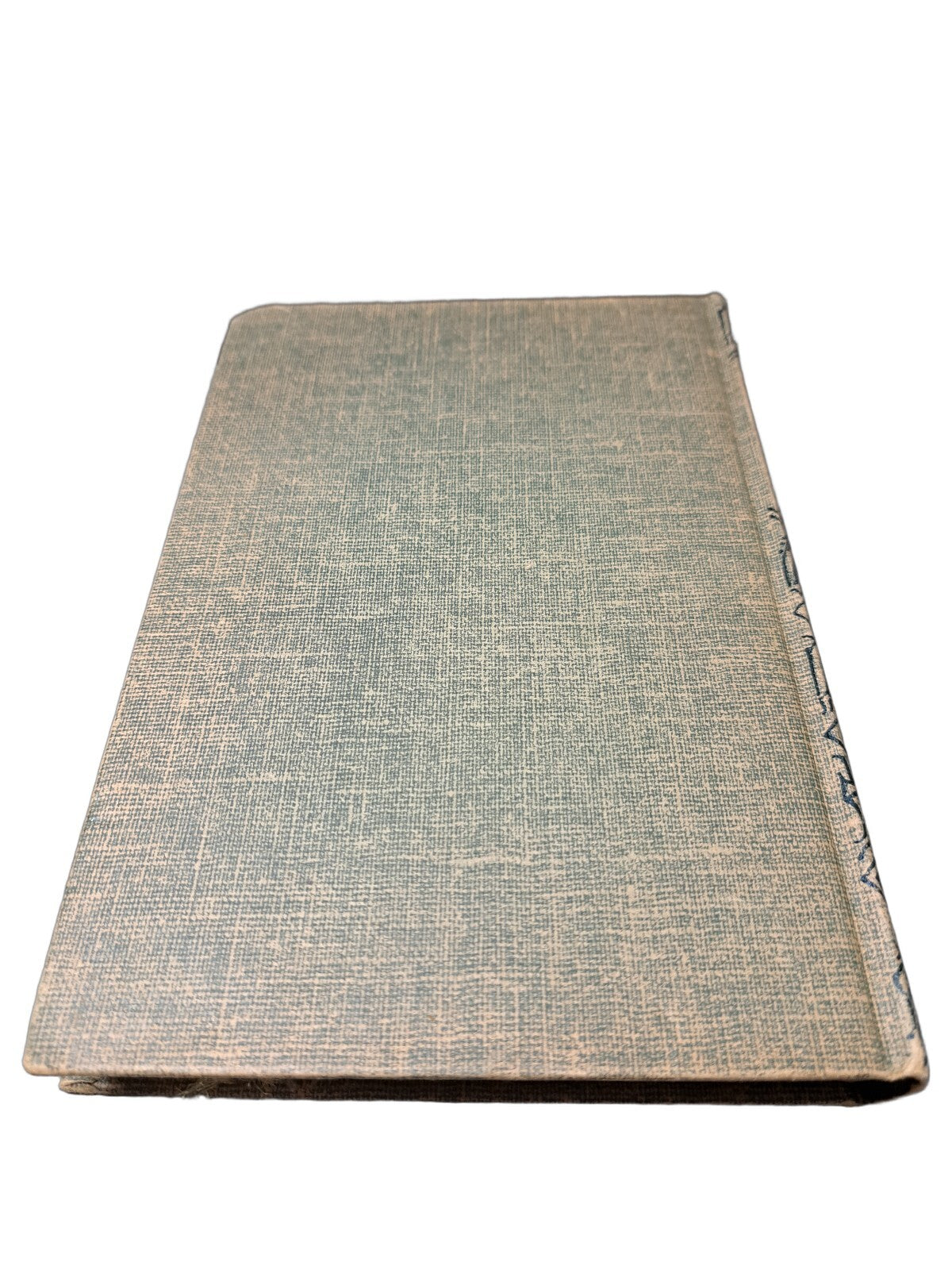 Vintage 1954 The Bobbsey Twins on a Bicycle Trip book by Laura Lee Hope