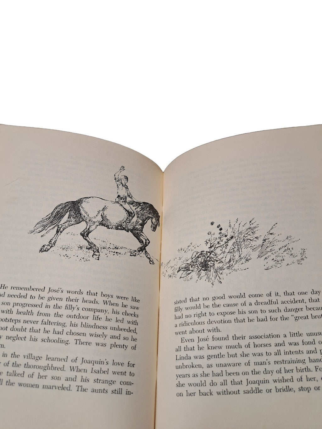 Vintage 1966 The Wild Horse of Santander book by Helen Griffiths