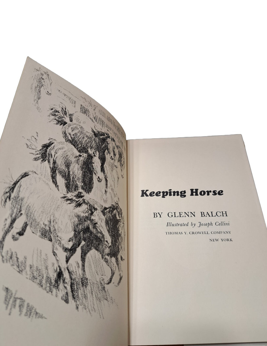 Vintage 1966 Keeping Horse book by Glenn Balch