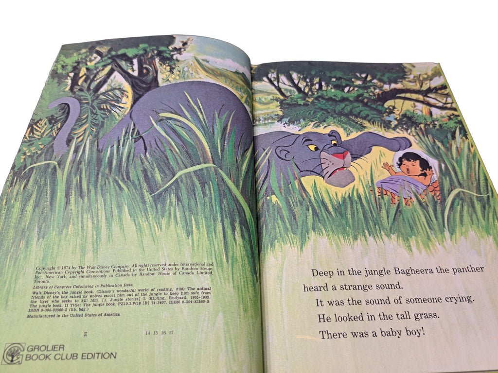 Vintage 1974 Walt Disney's The Jungle Book