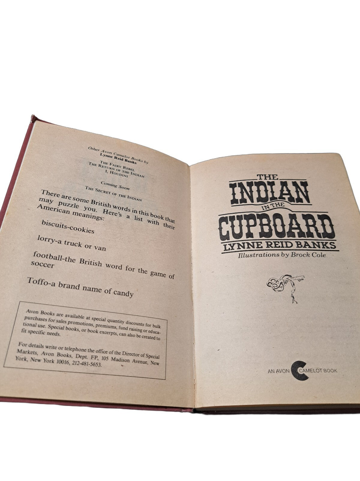 Vintage 1982 The Indian in the Cupboard by Lynne Reid Banks