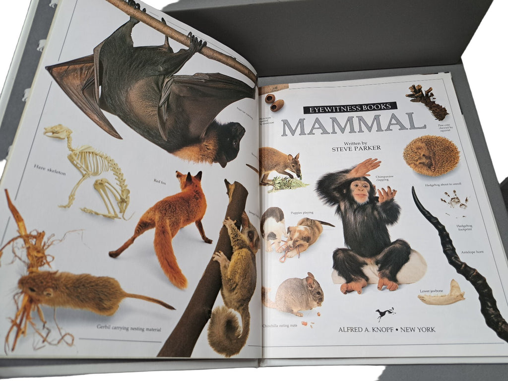 Vintage 1989 first edition of Mammal by Eyewitness Books