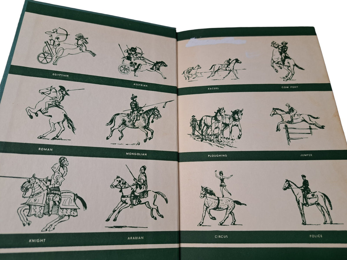 Vintage 1952 The Real Book About Horses by Jay Sherman