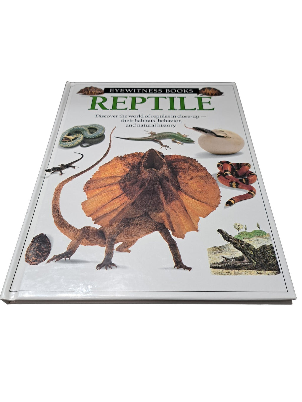 Vintage 1991 first edition of Reptile by Eyewitness Books