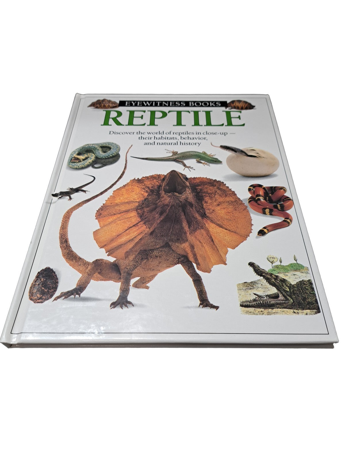Vintage 1991 first edition of Reptile by Eyewitness Books