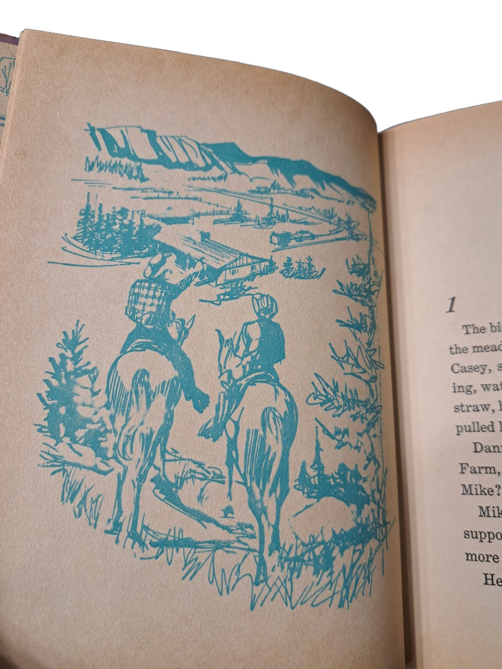 Vintage 1963 The Long Trail North book by Michael Murray
